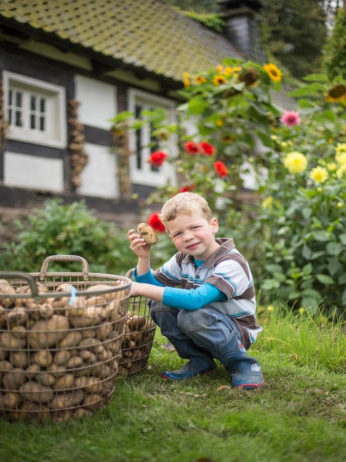 Ferienhof Richard Lennestadt Eksteriør billede